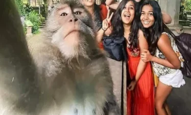 Kerala 5-star corporate tour experience with a cheerful group of colleagues enjoying a team outing in a lush green outdoor setting.