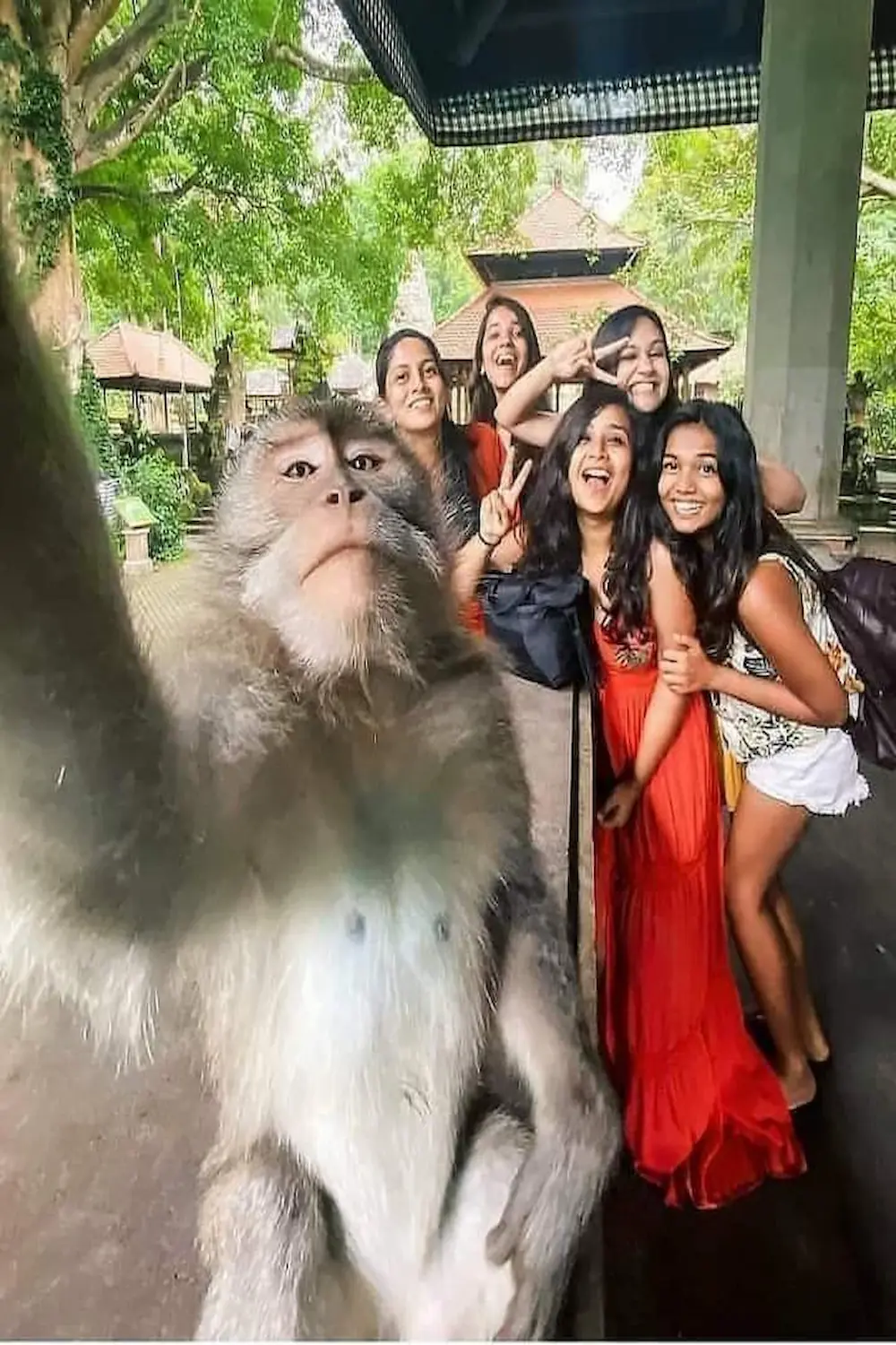 Kerala 5-star corporate tour experience with a cheerful group of colleagues enjoying a team outing in a lush green outdoor setting.