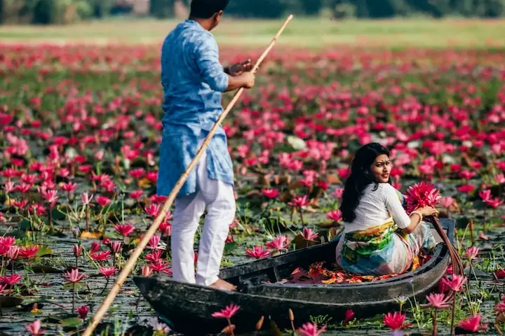 Kerala water tourism showcasing a traditional canoe ride through lotus-filled backwaters and scenic waterways