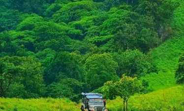 Munnar Thekkady nature tour showing a vehicle moving through lush green forest landscapes in the Western Ghats