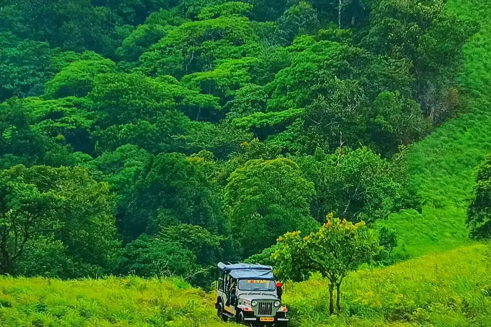 Munnar Thekkady nature tour showing a vehicle moving through lush green forest landscapes in the Western Ghats