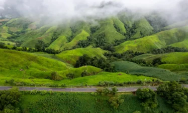 Munnar Thekkady Alleppey Tour Package with scenic tea plantations and Kerala hill station landscape