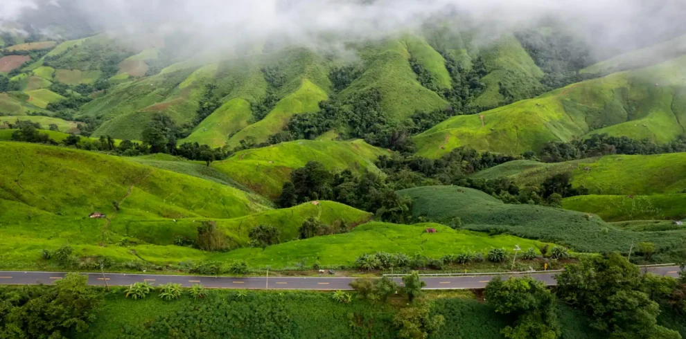 Munnar Thekkady Alleppey Tour Package with scenic tea plantations and Kerala hill station landscape